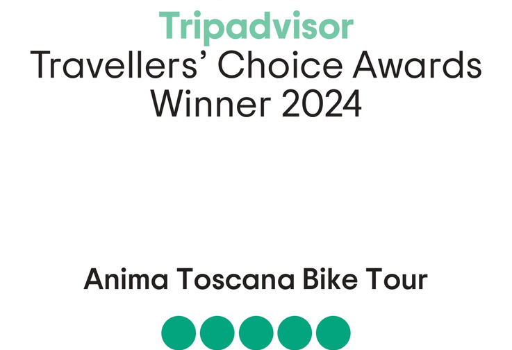 Tripadvisor Travelers' Choice 2024