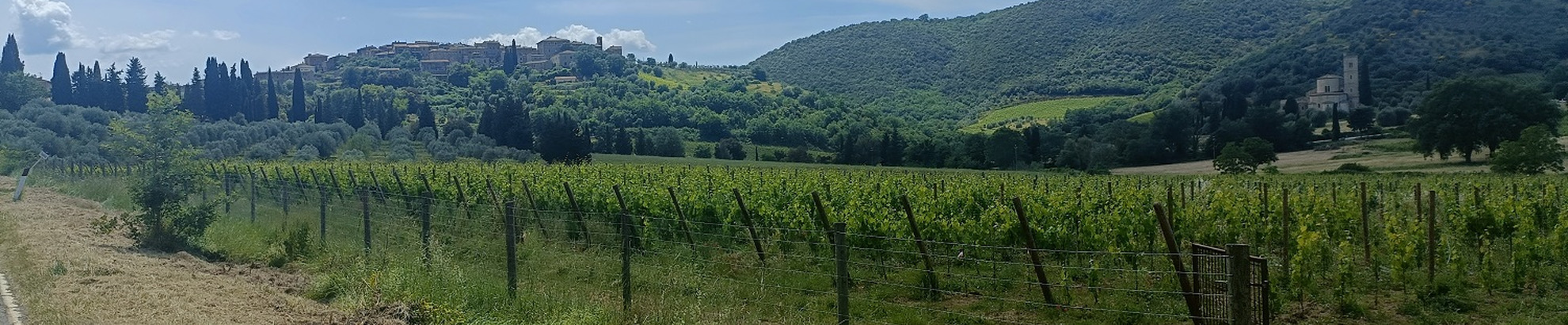 Toscana in bici 5 giorni